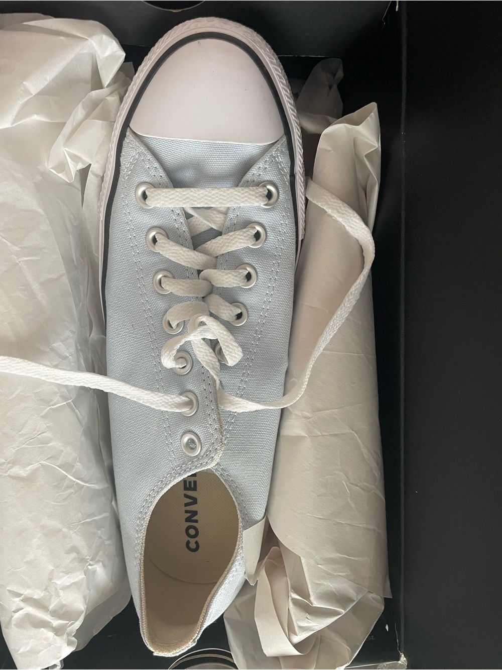 Converse Low Top Canvas Sneaker - Pale Blue